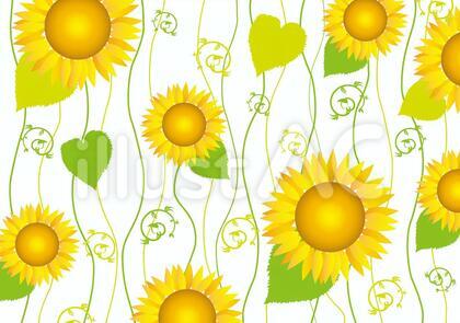 ひまわり夏植物花模様背景壁紙素材7月8月