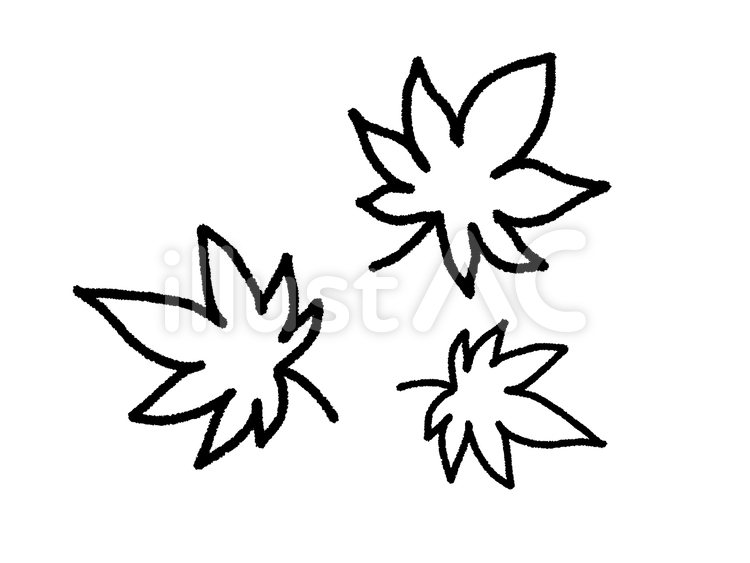 もみじ 秋,紅葉,葉のイラスト素材