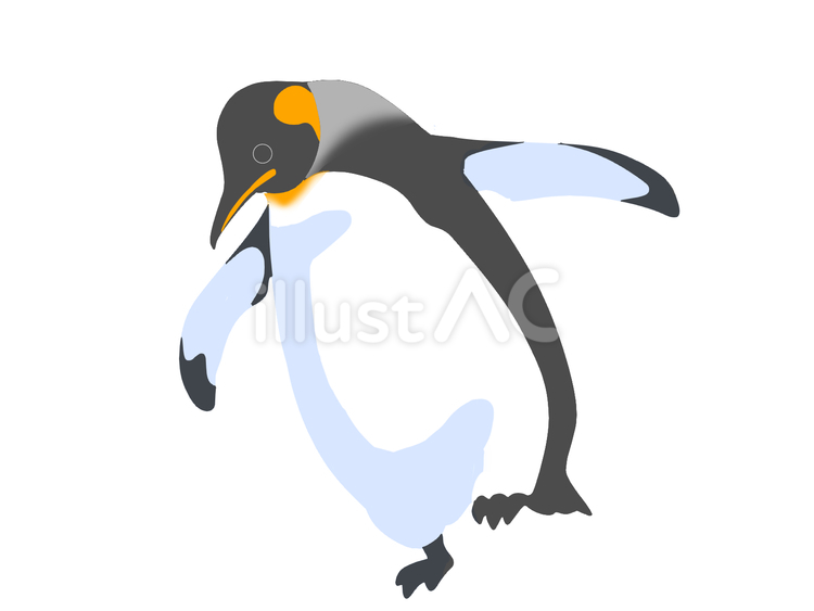 オウサマペンギン（前進・主線なし） ペンギン,動物,鳥のイラスト素材