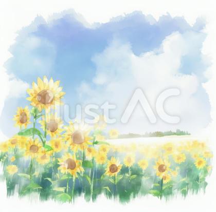 水彩タッチ ひまわり畑と青空