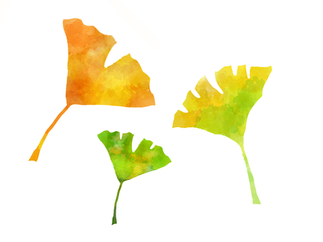 Colorful ginkgo fallen leaves color illustration, JPG and PNG Colorful ginkgo fallen leaves color illustration, , JPG and PNG