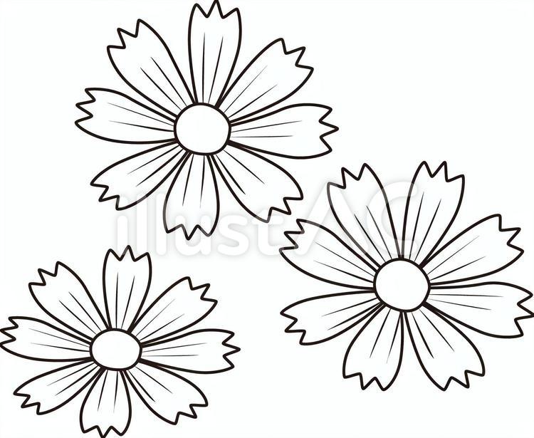 コスモス５ コスモス,花,秋のイラスト素材