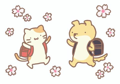 New student!, dog, cat, school bag, JPG