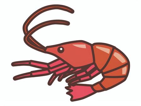 Shrimp, , JPG, PNG and EPS