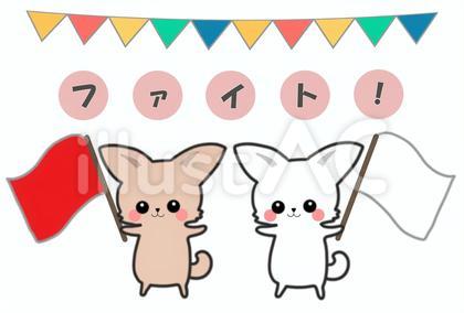 赤旗と白旗で応援するチワワ。
