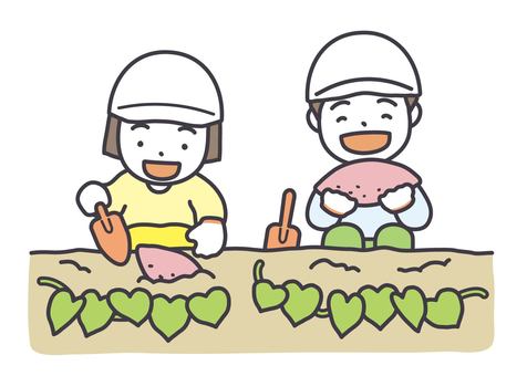 芋掘りをする子供 芋掘り,さつまいも,芋,秋,子供,小学生,遠足,校外学習,収穫,体験のイラスト素材