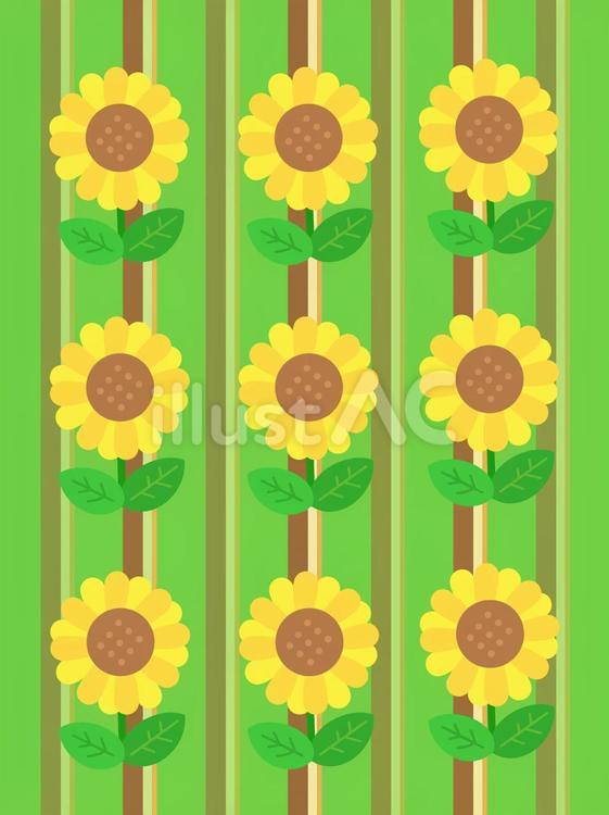 ひまわりと縦しま模様の黄緑色の背景 ひまわり,花,植物のイラスト素材