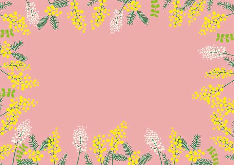 mimosa frame pink, spring, mimosa, frame, JPG, PNG and AI