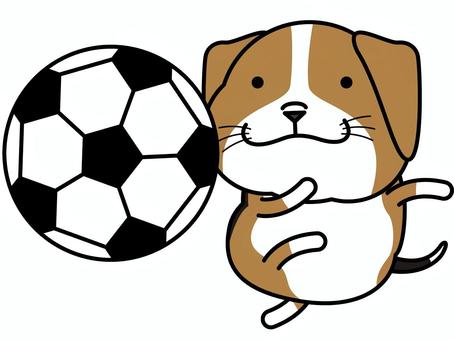 ビーグルさん サッカー サッカー,ビーグル,ボール,スポーツ,犬,小型犬,動物,キャラクター,クラブ,部活のイラスト素材