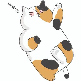 眠る三毛猫ちゃん♪ かわいい,眠る,寝る,おやすみ,昼寝,爆睡,熟睡,居眠り,ねこ,三毛猫のイラスト素材