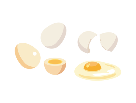 ゆで卵 生卵 卵の殻 ゆで卵 生卵 卵の殻 卵,食べ物,生,ゆで卵,断面,殻,割る,鶏卵,たんぱく質のイラスト素材