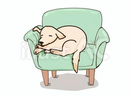 ソファで寝る犬