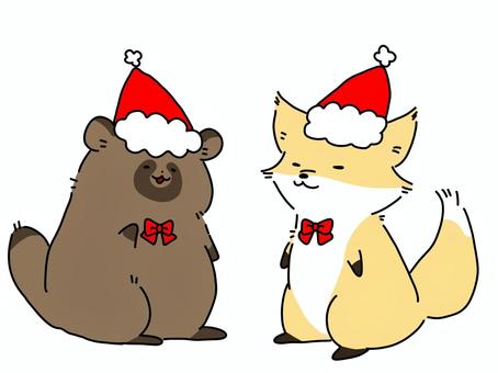 サンタ帽子を被った狸と狐 狸,狐,動物,手書き,かわいい,ゆるい,帽子,クリスマス,冬のイラスト素材