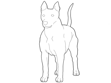 タイ・リッジバック・ドッグ 線画 タイ・リッジバック・ドッグ 線画 タイ・リッジバック・ドッグ,犬,中型犬,タイ,リッジバック,いぬ,線画,線,全身,シンプルのイラスト素材