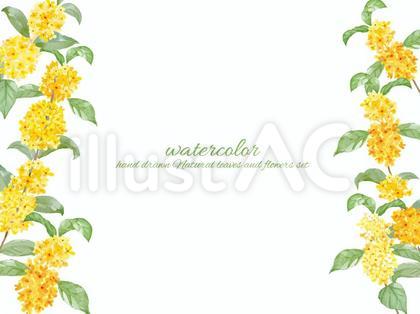 キンモクセイの花