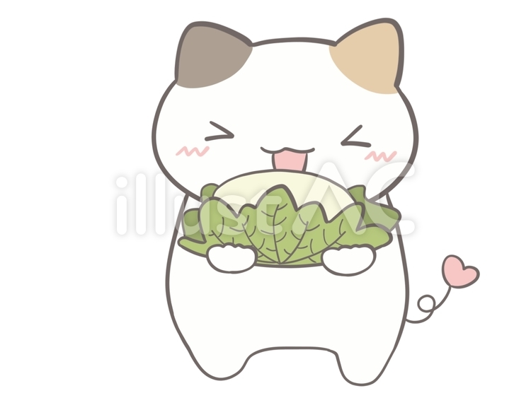 柏餅を笑顔で持つ三毛猫 柏餅,子供の日,かわいいのイラスト素材