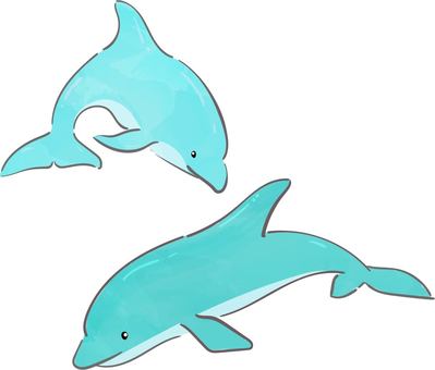 Dolphin, dolphin, sea, aquarium, JPG and PNG