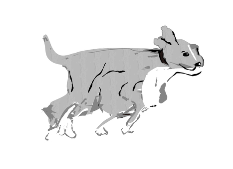 イタリアングレイハウンド