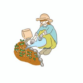 植物に水をあげてる女性 植物,水,女性,ジョウロ,水やり,園芸,家庭菜園,趣味,土いじり,軍手のイラスト素材