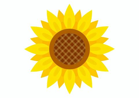 夏のひまわりの花イラスト