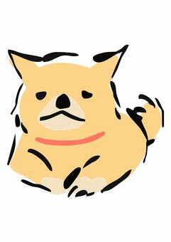 嫌な顔をする柴犬 柴犬,不機嫌,拒否,嫌,犬,首輪,かわいい,わんこ,ペット,動物のイラスト素材