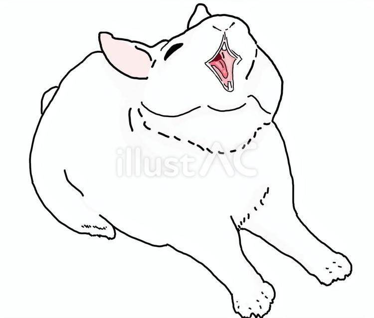 あくびとのびをするうさぎ(カラー) あくびとのびをするうさぎ(カラー) あくび,のび,うさぎのイラスト素材