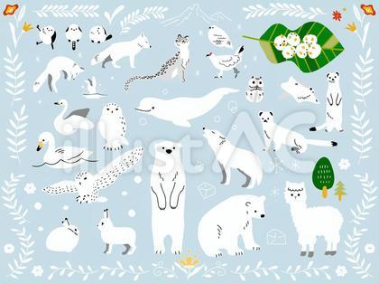 寒中見舞いにも使える白っぽい生き物セット