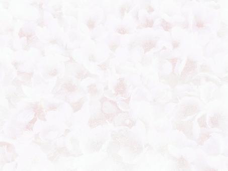 Cherry blossom petals drawn by pointillism, JPG Cherry blossom petals drawn by pointillism, cherry blossoms, flower, petal, JPG
