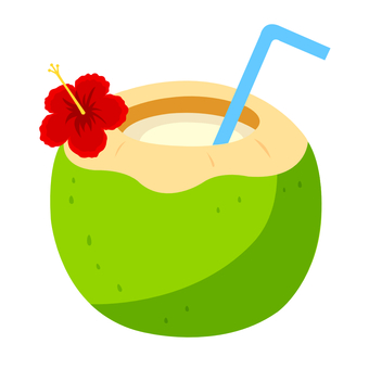 Illustration, coconut, palm fruit, juice, 