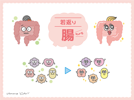 腸の若返り 腸,小腸,大腸,善玉菌,悪玉菌,美容,腸活,腸内環境,内臓,健康のイラスト素材