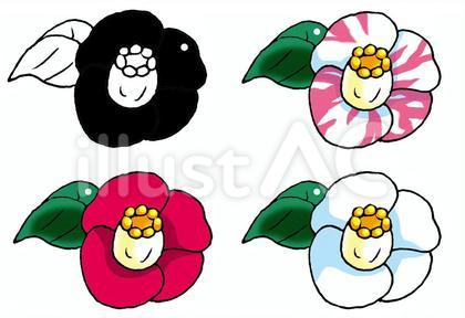 ツバキ