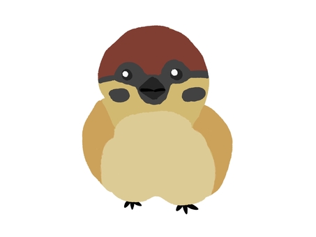 スズメ スズメ,鳥,生き物,動物,小鳥,くちばし,翼,かわいい,自然,正面のイラスト素材