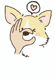 鼻入れをする犬 鼻入れをする犬 犬,チワワ,鼻,芸,可愛いのイラスト素材