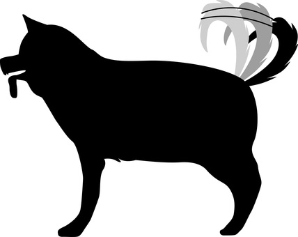 犬尻尾振る　 犬,尻尾,振る,嬉しい,ペット,雑種,かわいい,横向き,成犬,シルエットのイラスト素材