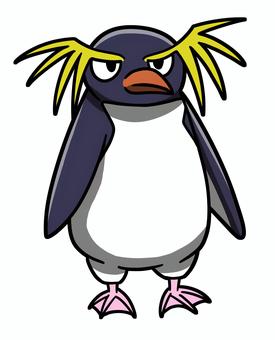 イワトビペンギン イワトビペンギン,ペンギン,海の生き物,水族館,冬,南極のイラスト素材