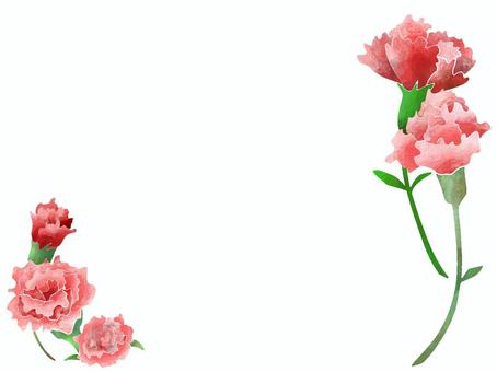 Illustration, carnation, message card, postcard, JPG and PNG