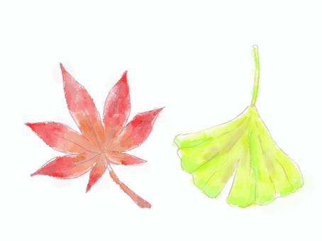 Watercolor maple and ginkgo, autumn godhong, autumn, cat banyu, JPG and PNG