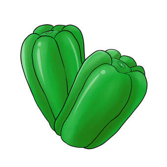 Illustration, green pepper, vegetables, green, JPG and PNG