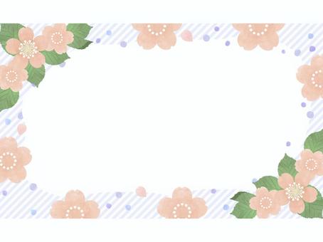 水彩風な桜の爽やかなフレーム(文字なし) 水彩風な桜の爽やかなフレーム(文字なし) フレーム,花,お花,葉っぱ,葉,植物,イラスト,デザイン,枠,飾り枠のイラスト素材