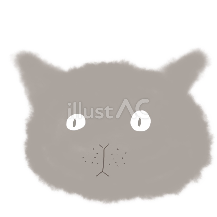 グレーの猫 猫,子猫,動物のイラスト素材