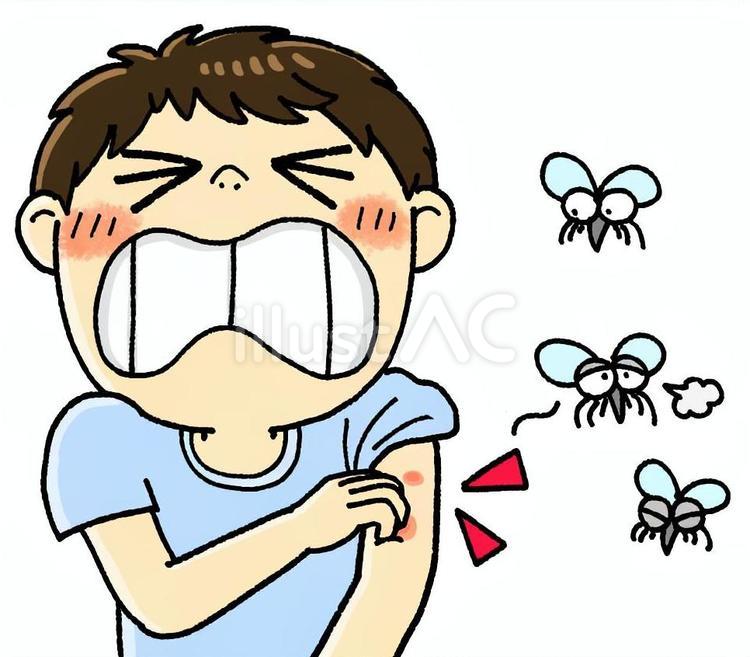 蚊に刺されてかゆい！！ 虫刺され,虫刺症,皮膚炎のイラスト素材