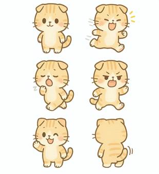 スコティッシュフォールド 擬人化