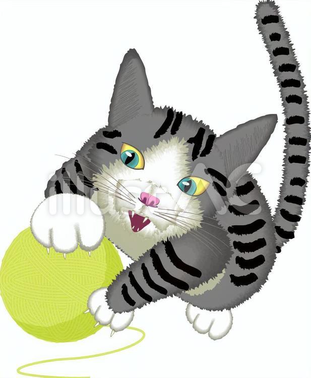 猫　子猫　ペット　キジトラ　毛糸　遊ぶ 猫,子猫,ペットのイラスト素材