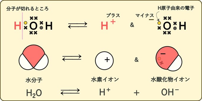水の電離 可逆反応,電離,水分子,水素イオン,水酸化物イオン,共有電子対のイラスト素材