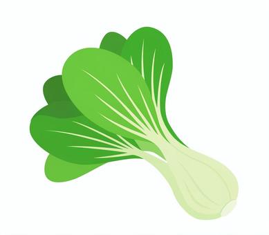 チンゲン菜のアイコン