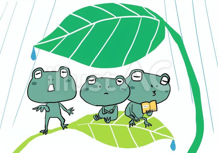 雨宿りするカエルたち 雨,梅雨,カエルのイラスト素材