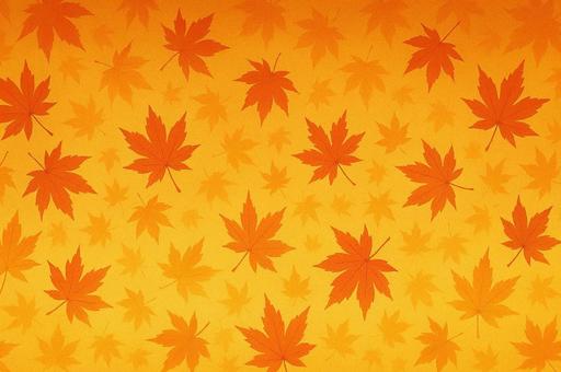 紅葉背景　オレンジ