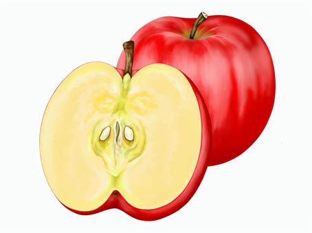 apple illustration, apple, fruit, hand drawn, JPG and PNG