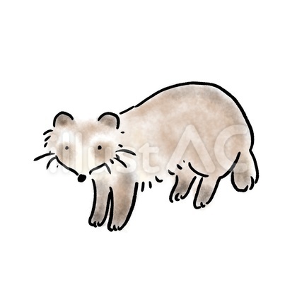 タヌキ 日本の動物シリーズ