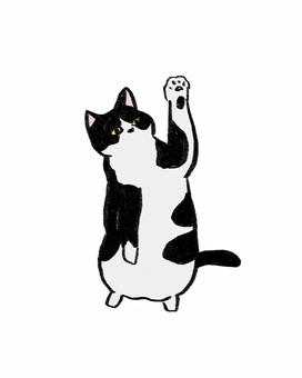 手描き風の猫（白黒）